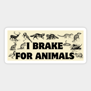 I Brake For Animals, Funny Car Bumper, Animal Lover Bumper Sticker